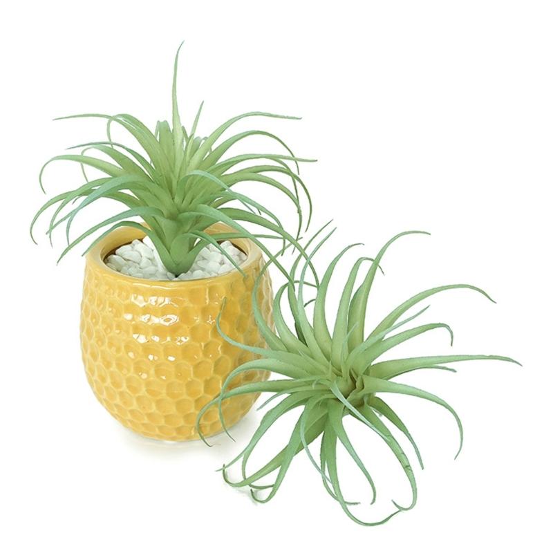 Realistic Faux Tillandsia Succulents Artificial Air Plant For Indoor Home Office Green Plant for Shelf Desk Decoration