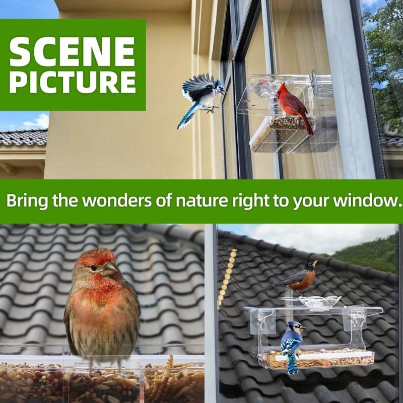 Window Feeding Tray Bird Feeders for Window Mounted Clear Wild Bird Feeders Bath Tub for Small Bird Observation