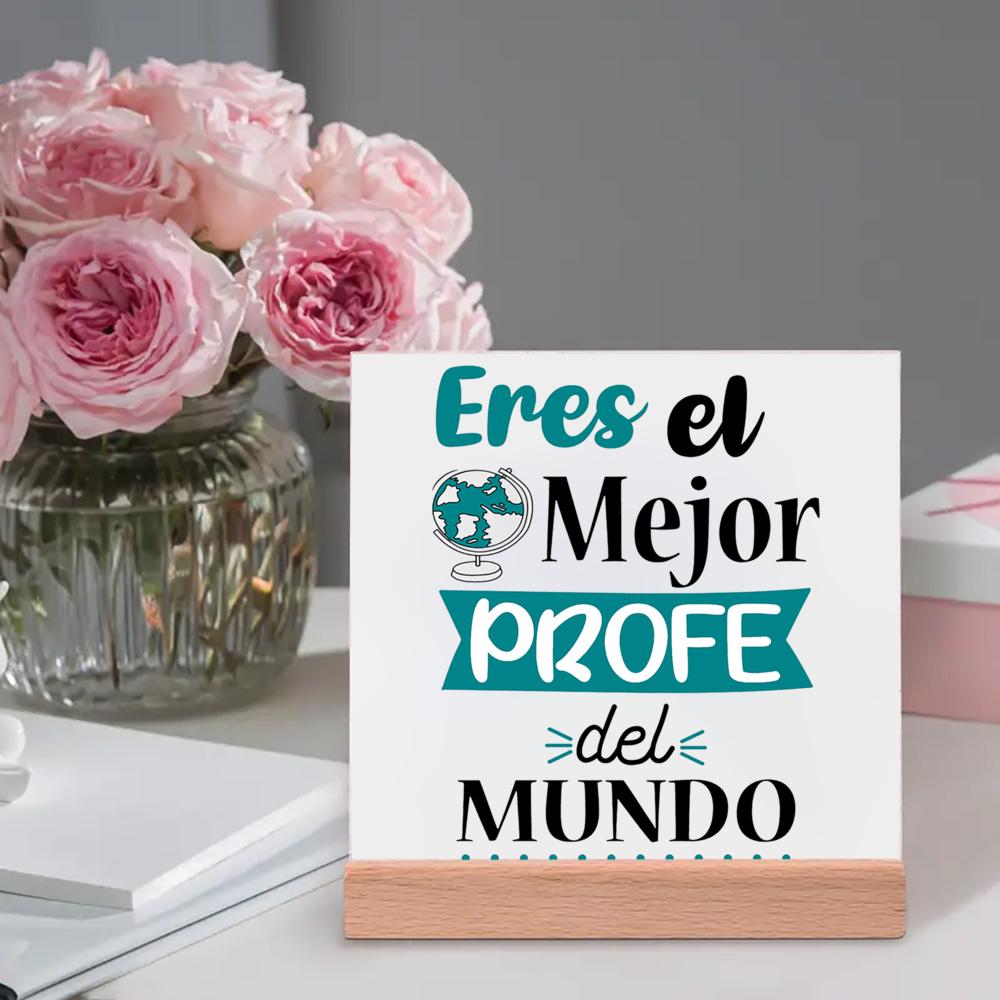 Sem Professores Como Você a Vida Não Teria Classe Placa Impressa Sinal Presente Cerâmica Pôsteres Suporte de Madeira Decoração de Mesa Melhor Presente
