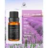 Kahuro Lavender Essential Oil, 10ml, Pure Natural Extract, Aromatherapy Oil for Aroma Diffusers and Humidifiers, Floral Lavender Essential Oil
