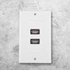 Dual Port USB2.0 Wall Plate Panel for Home Office Building Hotel Decoration
