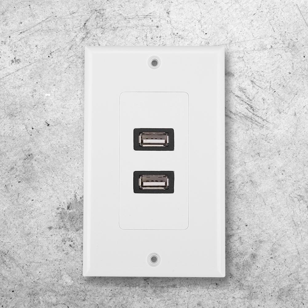 Dual Port USB2.0 Wall Plate Panel for Home Office Building Hotel Decoration
