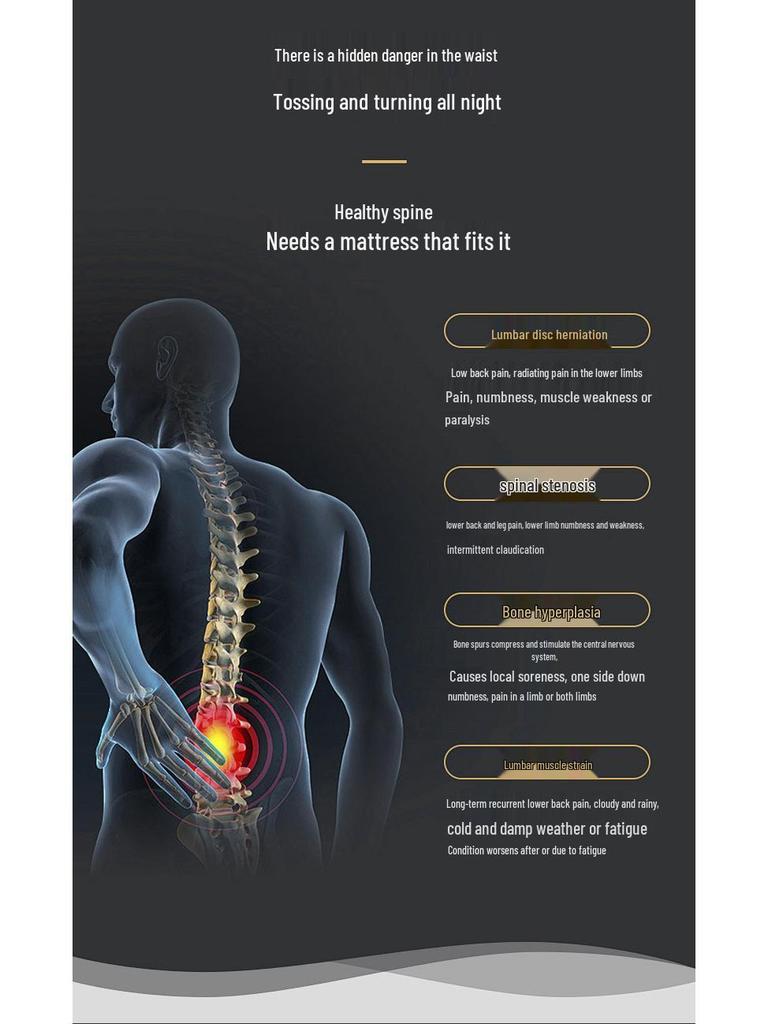Breathable Lumbar Support Belt for Men & Women – Ideal for Disc Herniation Recovery with Steel Plate & Abdominal Binder.