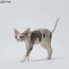 Mini Hairless Cat Model Creative Tattoo Cat Resin Simulation Animal Statue Decoration Modern Car Home Decoration Accessories