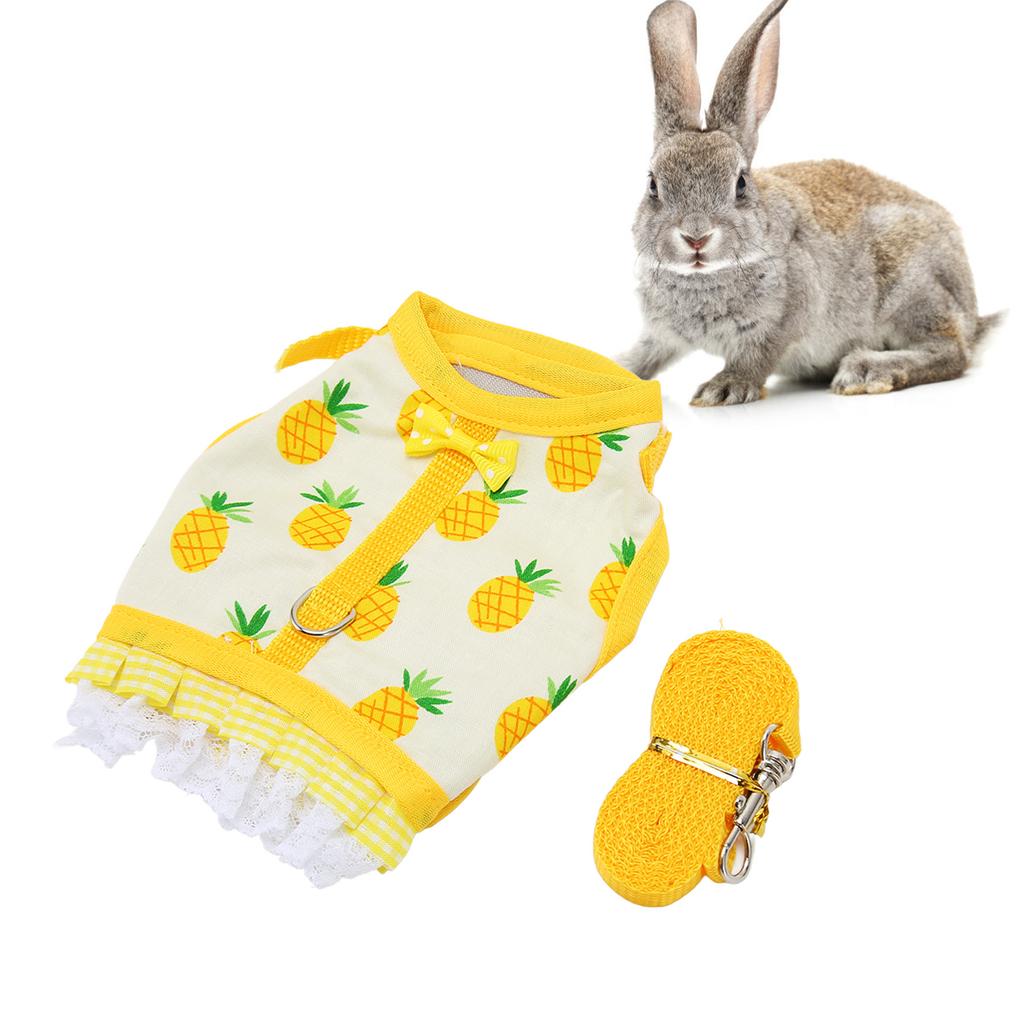 Vest Lsh Fruit Printing Lace Hem Hook and Design Small Animal Harness Set for Chinchilla Ferret