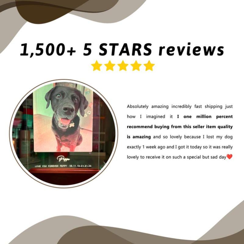 Personalized Pet Image Luminous Ornament Valentine Day Exclusive Gift for Cat Dog Lovers Home Desktop Decorative Light Custom