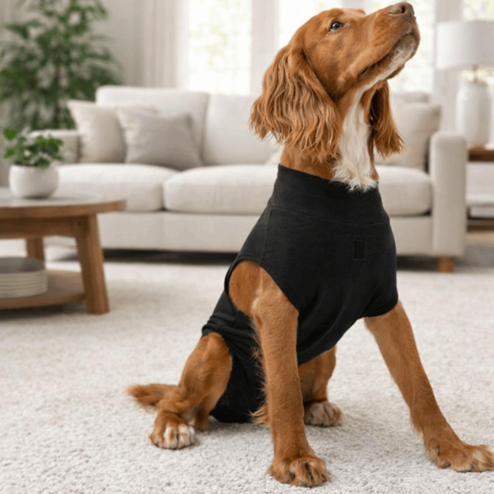 Stretchy Dog Recovery Suit Adjustable Dog Sanitary Jumpsuits  Menstruation Period
