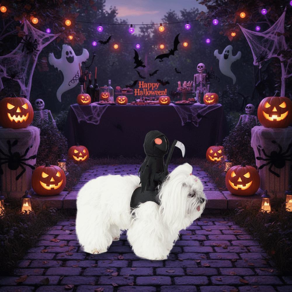 Lustiges Hundekostüm Kreatives Hundesattel-Kostüm Hund Geisterreiter-Kostüm Halloween-Party