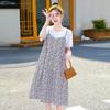 Maternity Clothes New Dress Floral Zou Ju Spring and Summer Thin Fake Two Loose Large Size Medium and Long T-shirt Skirt