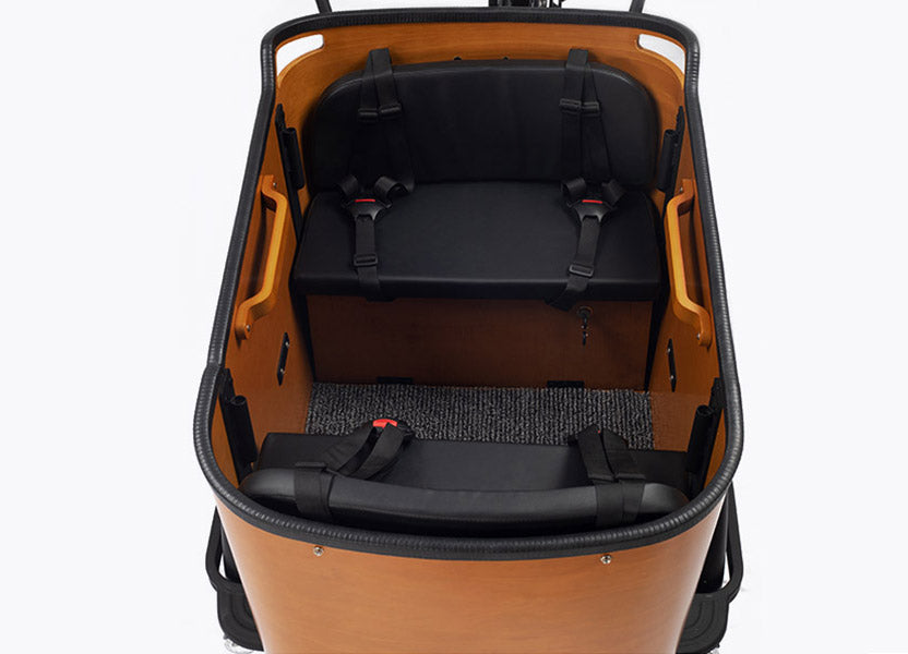 Family C 250W Mid-Drive Electric Cargo Bike for Kids, 4 Seats, 48V 13.4Ah Battery, 20"/26" Tires