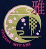 Japanese Souvenir M Navy Shin-ei [T-shirt Miyabi]
