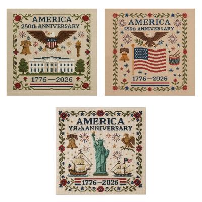 US 250. Jahrestag Kreuzstich-Set Gedenkstickerei Anfänger-Set Zählformat Geschenk Patriotischer Kreuzstich
