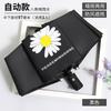 Sales of automatic folding umbrellas Vinyl umbrellas Sunscreen UV protection Sun umbrella brush