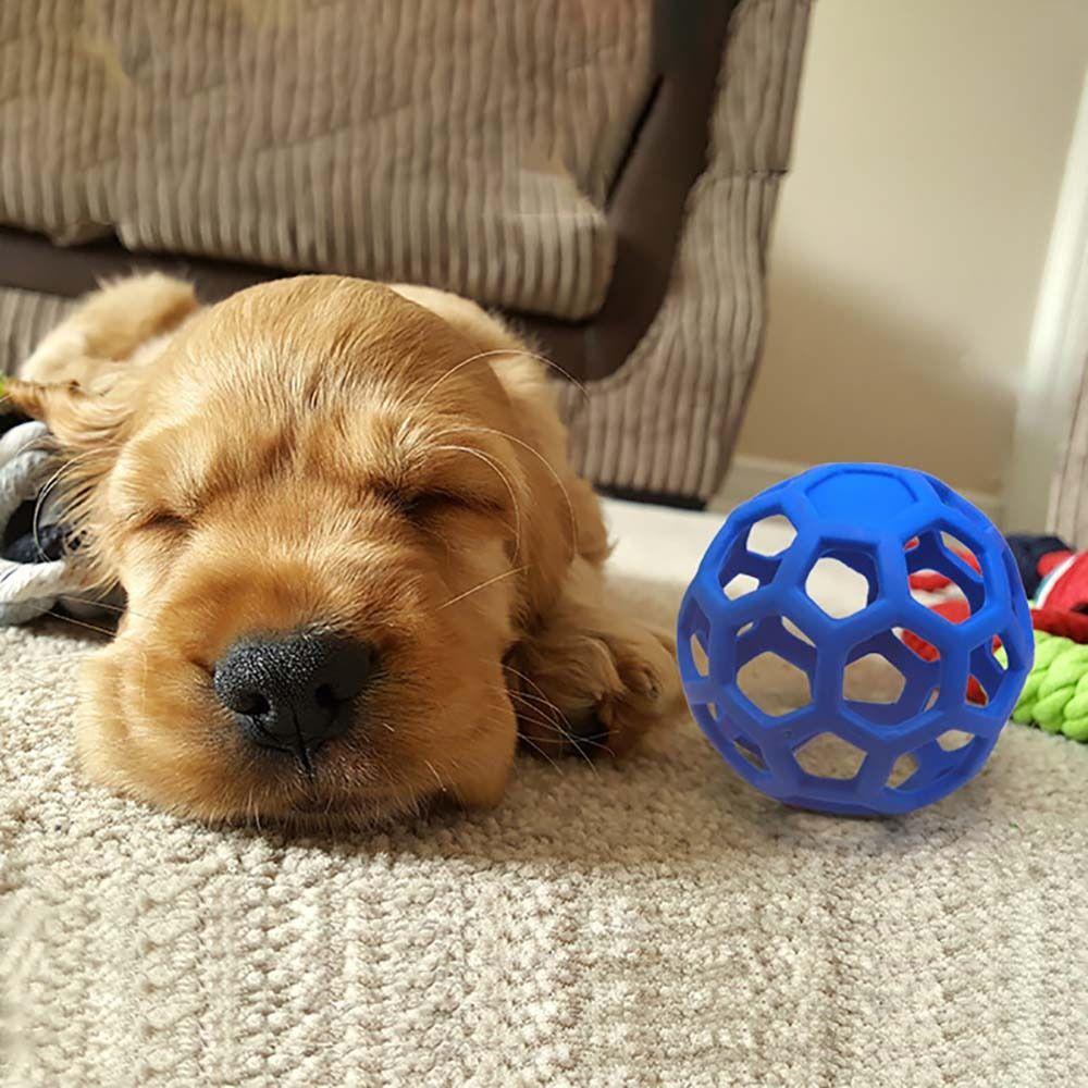 Medium Large Dogs Geometric Safety Toys Pet Accessories Pet Training Toy Dog Supplies Dog Chew Toy