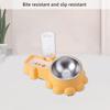 Raised Cats Bowls Dog Feeding Bowl AntiVomiting Food Container for Small Dogs Pet Feeding Bowl Pet Watering Supplies