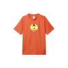 Nike Acg Cruise Boat T Shirt FQ3726-809