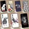African Grey Parrot Case For Honor X9a X8a X7a X6a X7 X8 X9 X9b X8b Honor 10 50 70 90 Lite Magic 6 5 Pro Cover