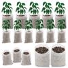 100pcs Non-Woven Plant Nursery Bags Pots Flowers Fruit Tree Seedling Biodegradable Fabric Pouch for Vegetable Seed Cultivation
