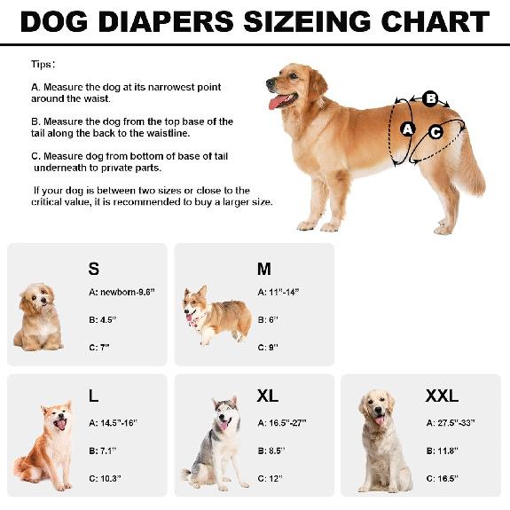 Reble Dog Diapers Female Washable, Premium Doggie Diaper for Dogs, Pack of 3, Highly Absorbent Small Dog Diaper for Heat, Incontinence and Puppy