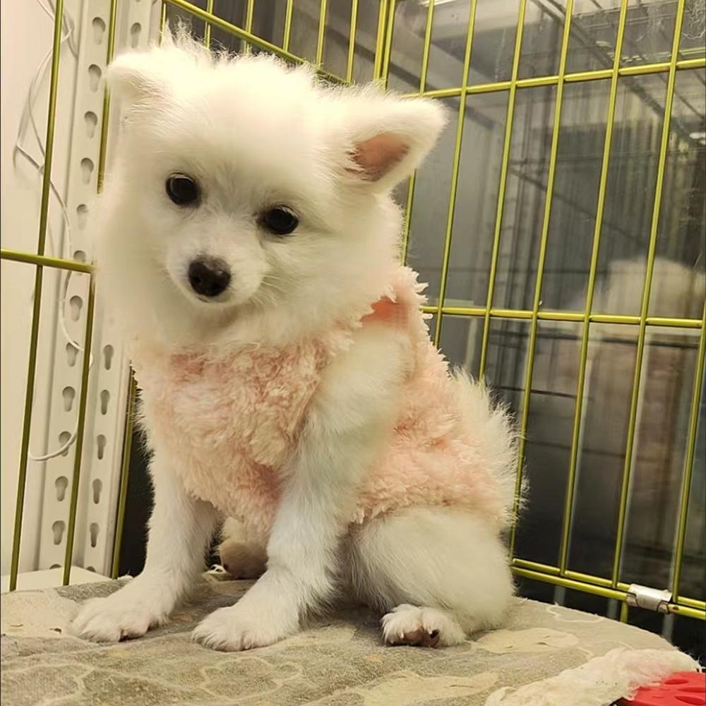 Soft Cozy Dog Clothes Winter Warm Puppy Fleece Costume For Small Medium Dogs Cats Outdoor Pet Sweater French Bulldog Yorkshire Coat