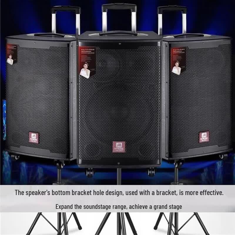 MALONE M12 Portable Outdoor KTV Bluetooth Speaker (CN version)