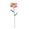Long Stem Dipped 24k Gold Rose in Gift Box with Stand (White pink Rose with Stand)