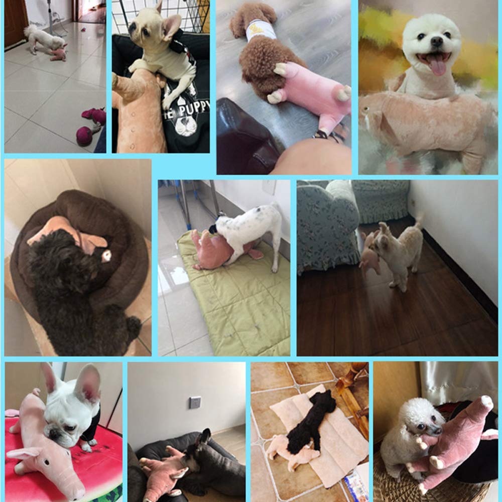 Yurika Dog Toy Plush Toy Cute Pig Dog Teeth Brushing Dogman Dog Birthday Gift Teddy Golden Retriever Pet Toy Durable (L)