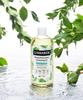 Toning Shampoo - Peppermint 500mL