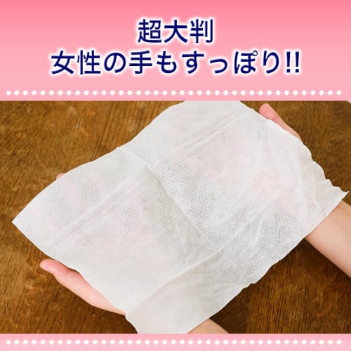 Adult Wet Wipes, Made in Japan, Widely Used in Nursing Homes, Approximately Double the Size (20cm x 30cm), Reduces Caregiver Burden, Soft, Thick, Text