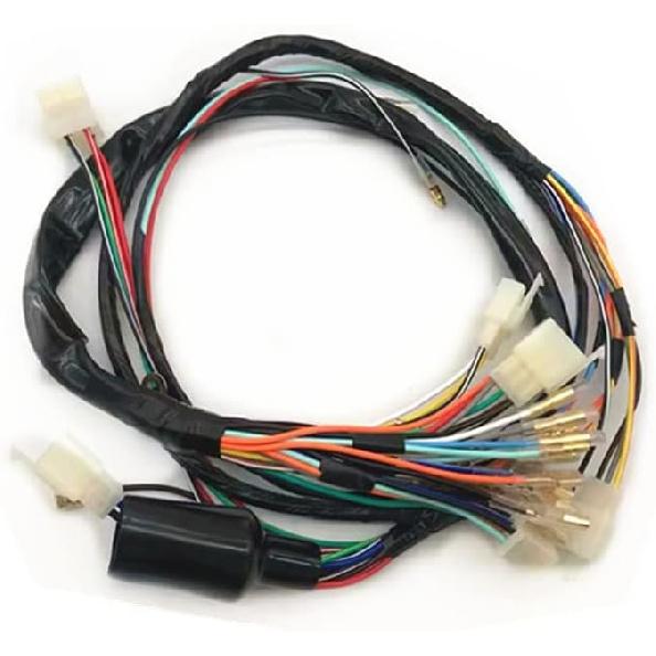 Complete Electrical Wiring Harness Compatible With S AX100 100 Compatible With Motorcycles