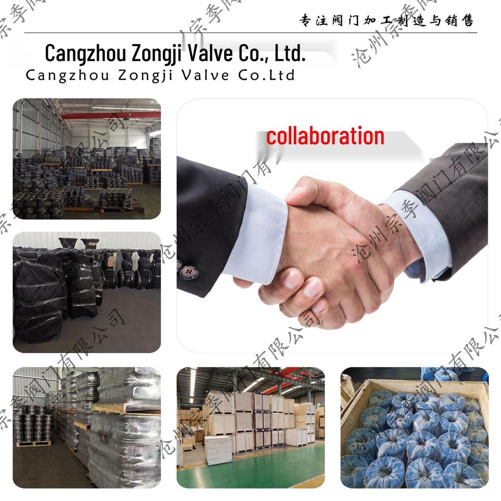 304 Stainless Steel Resilient Seated Gate Valve Z45X for Medium/Low Pressure Tap Water, Flanged