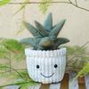 Apricot Lamb Potted Aloe Plush Toy, Soft and Cute, Fluffy Potted Aloe for Boys and Girls, 18cm