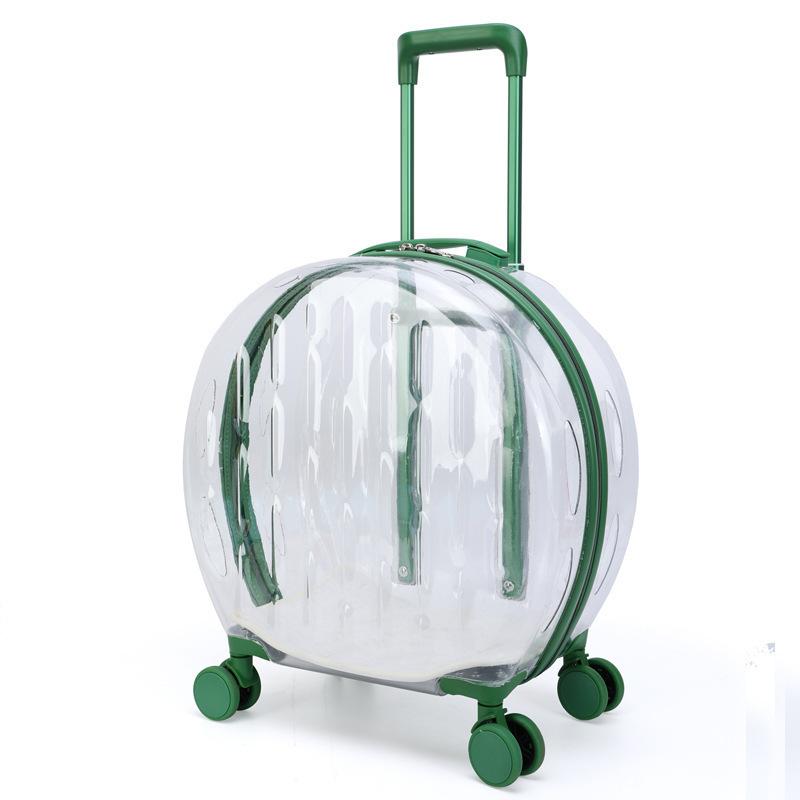 Valise transparente pour animaux de compagnie, grande capacité, valise de voyage pour chien, boîte à bulles Portable d'extérieur, boîte d'aviation 