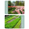 Garden Watering Can Long Spout Kettle For Vegetables Multifunctional Household Large Gardening Kettle For Indoor Plants Flower