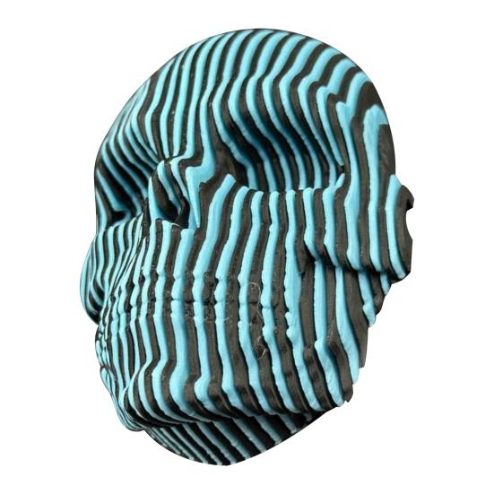 Quantums Skull Wall Decoration Home Office Living Room Bathroom Wall Art Spooky 3D Printed Skull Sculpture Figurine Statue Wall Ornament