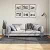 VidaXL Short Pile Rug, Floor Carpet, Area Rug, Living Room Bedroom Rug, Modern, Anthracite 375469