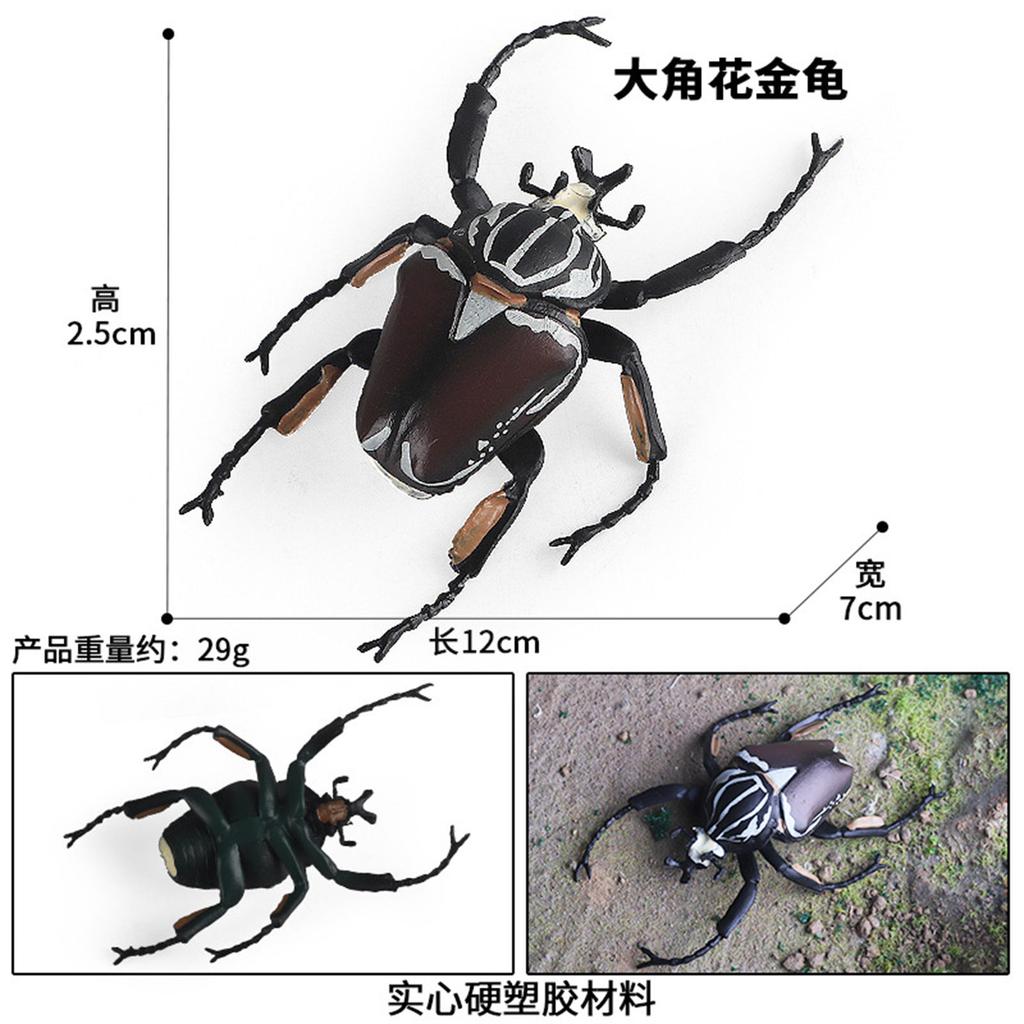 Spiders Dragonfly Gogga Model Realistic Scarab Toy for Kids and Collectors Toy Decorative Collection Gift