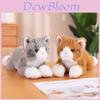 Pluizig Pomeriaans Knuffeldier Kat Poes Auto Decoratie Schattig Kittenkussen Kalmerende Pop