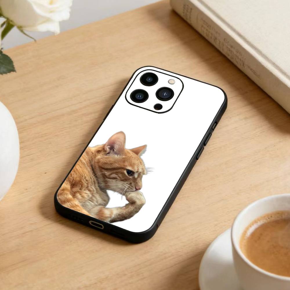 Goofy Cool Cats Big Eyes Phone Case For iPhone 17 16 15 14 13 12 Max Plus Silicone Black Cover