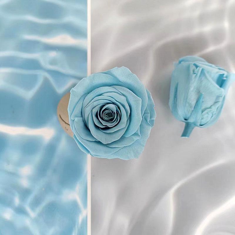 Blue Series Dried Flower DIY Kit: Hydrangea, Thousand-Layer Gold, Eucalyptus Leaf Souvenir Decoration