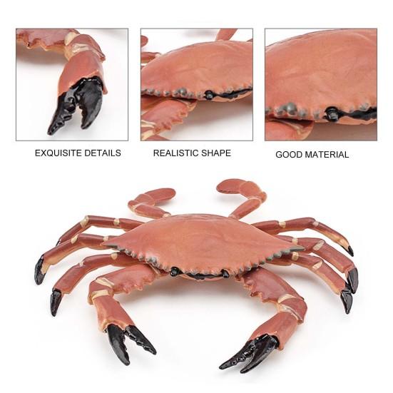 Simulation Animal Model Vivid Intelligence Development Solid Aquarium Miniature Crab Cognition Education Toy for Home