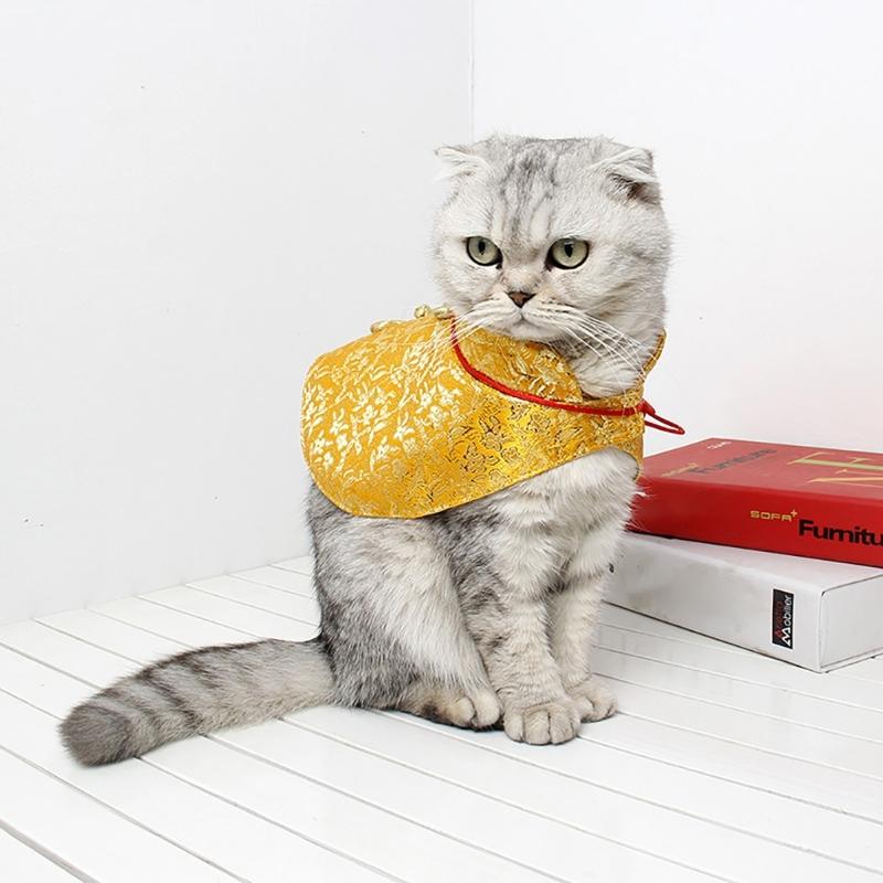 Katze Chinesisches Neujahr Kostüm Umhang Frühlingsfest Hundeumhang Verkleidung Kleidung Festkostüm Foto Outfit für Haustiere