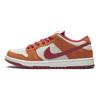 Dunk Low Pro SB
