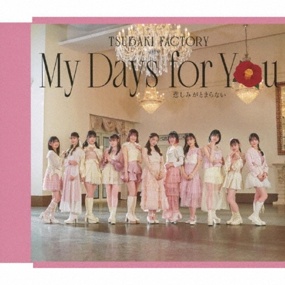 

Tsubaki FacTory My Days For You Can T sTop The Sadness