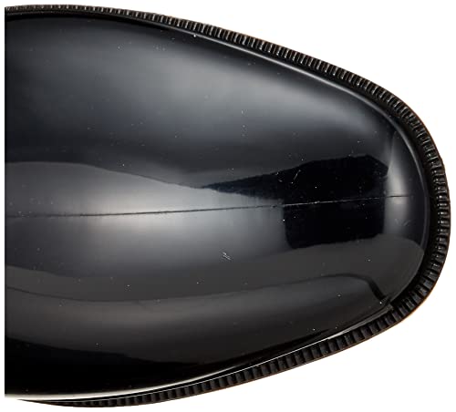 Asahi CleanSafe 300 Rain Boots, Oil-Resistant, Work Boots, Made In Japan, Black, Size 29.0 Cm, 2E