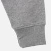 Jordan Brand Jumpman FW24 HBR FLC Pullover Hoodie Men hoodies Gray HQ0432-091