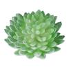 Sale Künstliche Sukkulente Blume - Florale Mini-Pflanzen Laub Garten-Deko/Geschenk