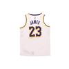 Nike Nba Los Angeles Lakers LeBron James Association Edition Swingman Jersey AA7101-111