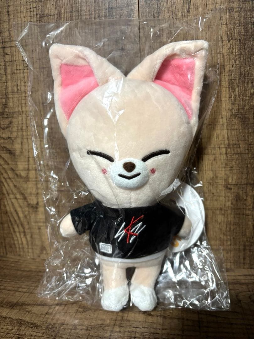 

[USED] Straykids skzoo plush toy Ien