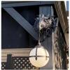 American Dinosaur Dragon Cross-border Wholesale Home Garden Decoration Double Resin Dinosaur Head with Light Pendant Decoration